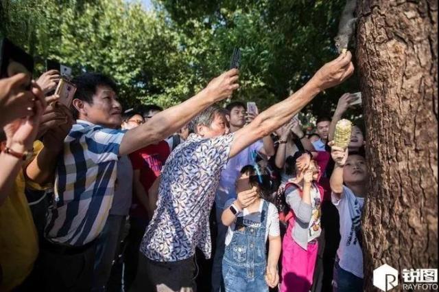 我早说过，国庆期间只有单位人少又便宜