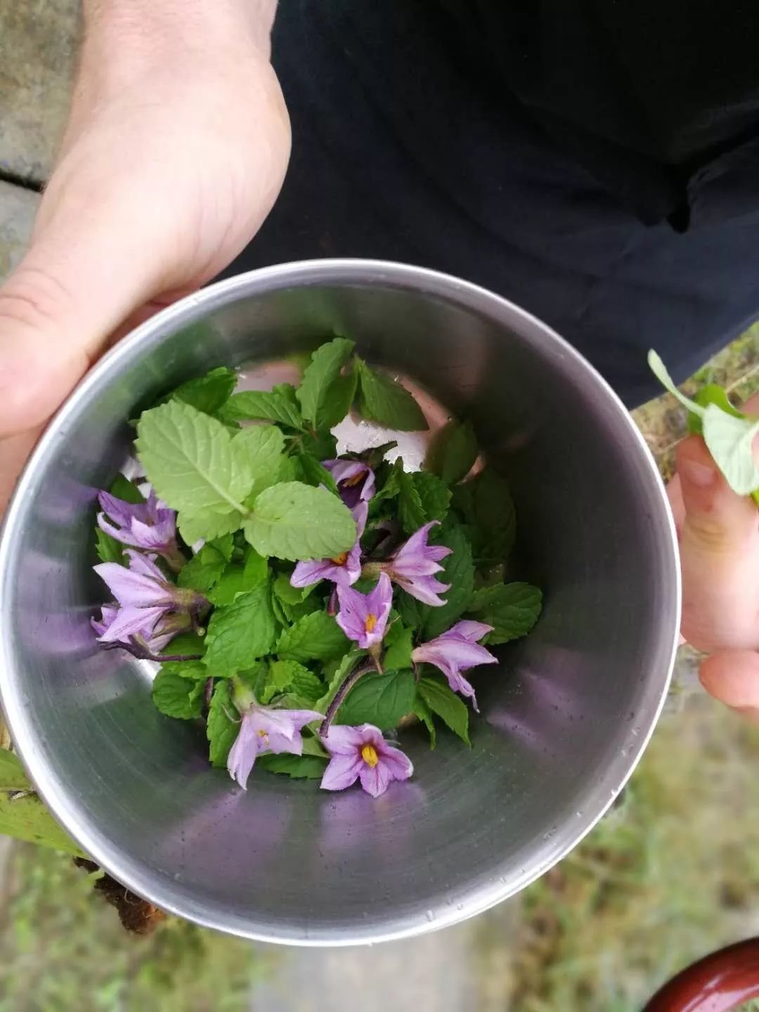 去裸心谷kikaboni吃私宴，听南非主厨BarendGreyling说家的故事