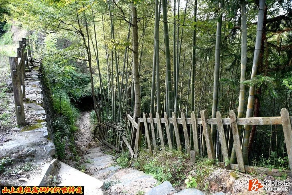 湖南怀化会同景区景点,湖南怀化第一大古村