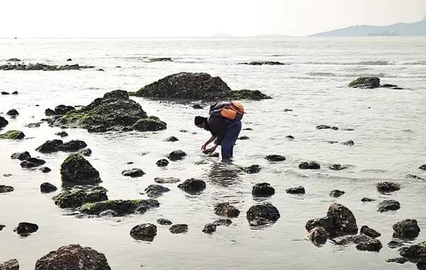 在青岛，没人能够战胜天气