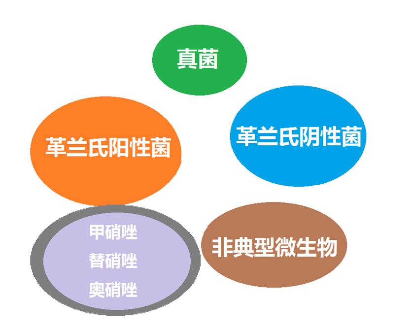 看图“话”抗菌谱，赶紧收藏！