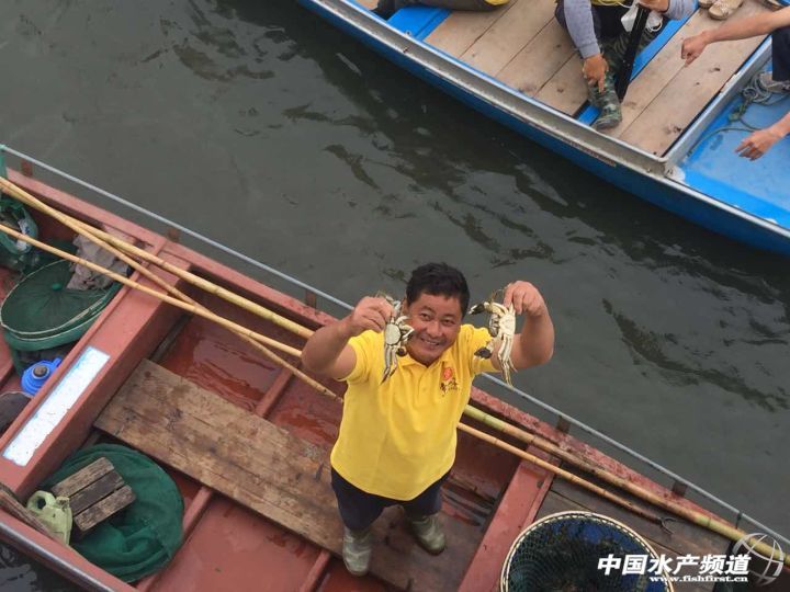 苏州实惠型阳澄湖大闸蟹哪个好,全国大闸蟹品牌排行榜