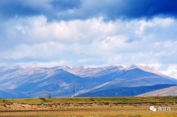 人文｜聆听仙鹤的双翅，你将飞到更高更远的地方……