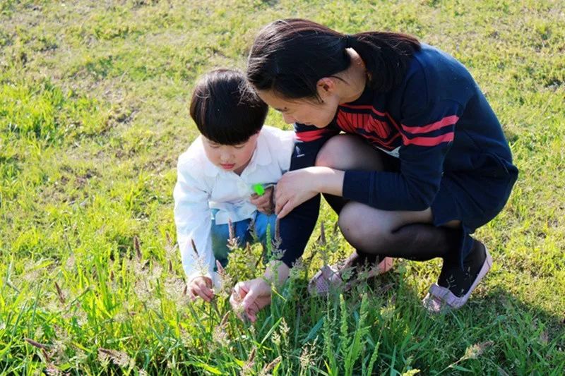 「砥砺奋进的五年·漕湖街道」十里漕湖，变化万千