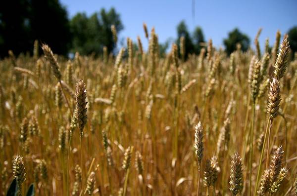 去过青海还需要去拉萨吗,去过一次青海后念念不忘