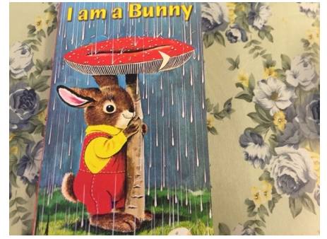 亲子共读100个经典,双语宝贝英语启蒙书推荐