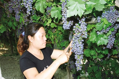 托克托县重点工作,托克托县县域