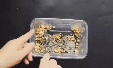 农村老鼠太多教你一招灭鼠的绝招,如何自制灭鼠最佳方法