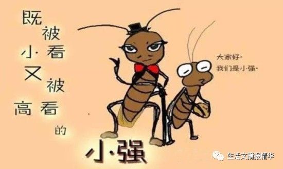 灭蟑螂硼酸和土豆泥的比例,硼酸做土豆泥真的能杀蟑螂吗