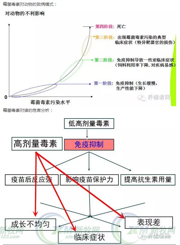 霉菌毒素有必要用脱霉剂吗,霉菌毒素用什么治