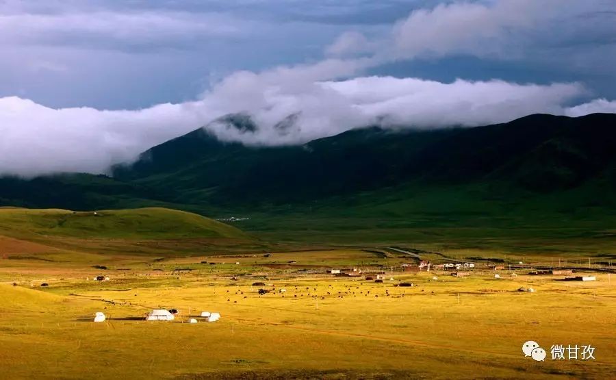 人文｜聆听仙鹤的双翅，你将飞到更高更远的地方……