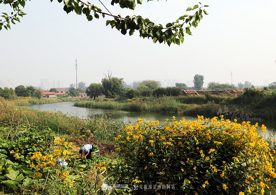 为什么镖局到沧州不喊镖号,从镖