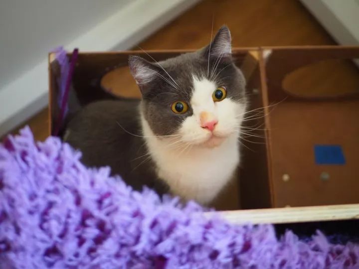 下一个台风说不定叫“皮皮虾”|小南早报