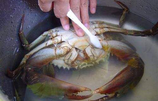 洗螃蟹怎么不被夹,被熟螃蟹扎到怎么处理伤口
