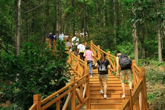 沂蒙山五一旅游,11月份沂蒙山攻略