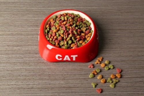 猫粮进口大牌,进口大颗粒猫粮