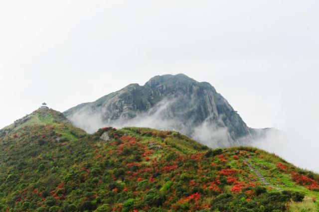 贺州姑婆山旅游攻略,广西贺州姑婆山一天游