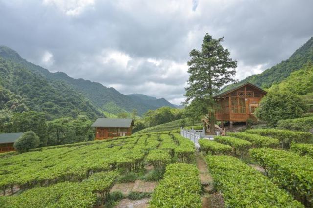 贺州姑婆山旅游攻略,广西贺州姑婆山一天游