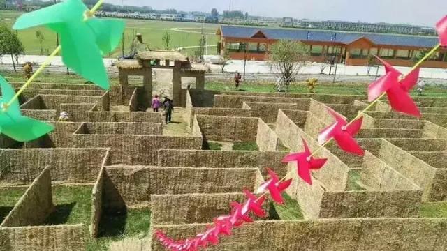 荆州马山稻田迷宫,稻田迷宫大赛时间