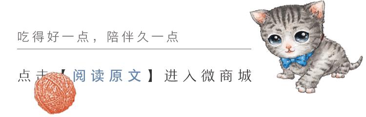 宠爱故事完整版,宠爱背景故事