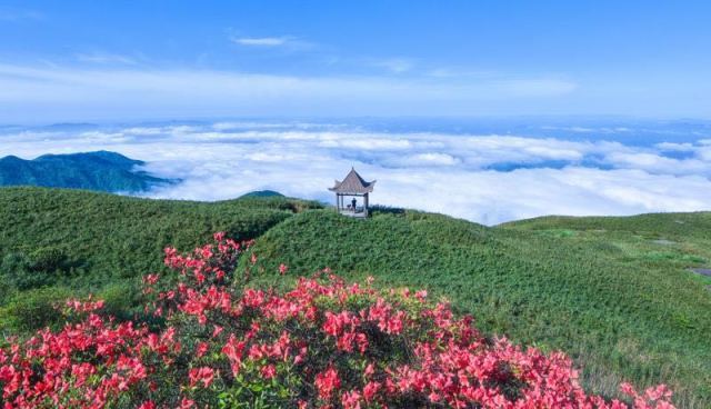 贺州姑婆山旅游攻略,广西贺州姑婆山一天游
