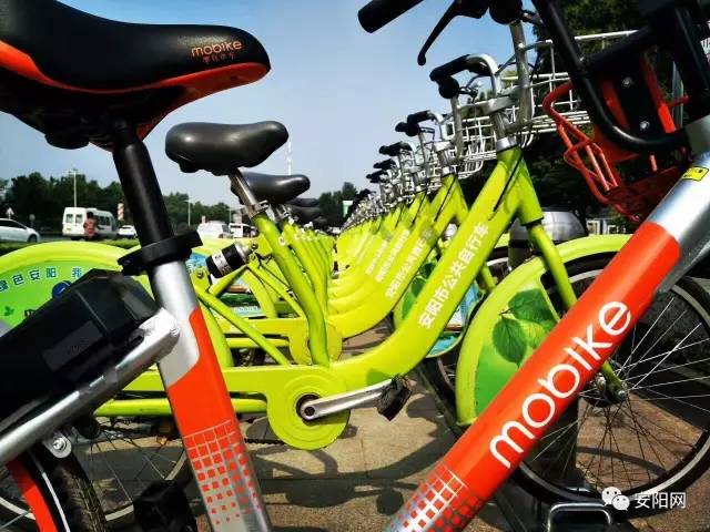 安阳共享单车有哪些,2023年安阳有共享单车吗