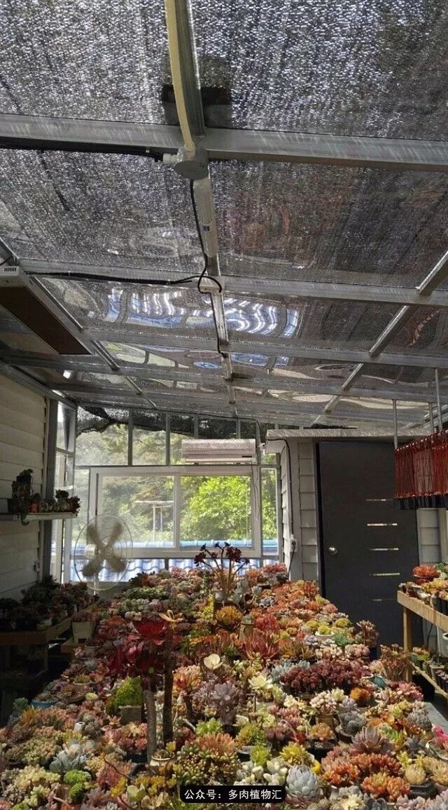 只有见过韩国肉友的阳台,才知道什么叫做物尽其用!