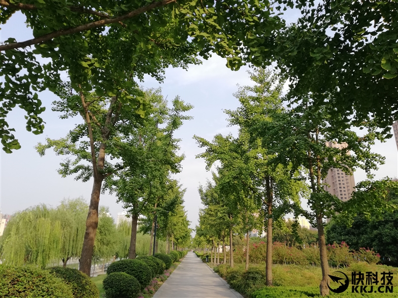 华为新机麦芒9测评,华为最新款手机mate10