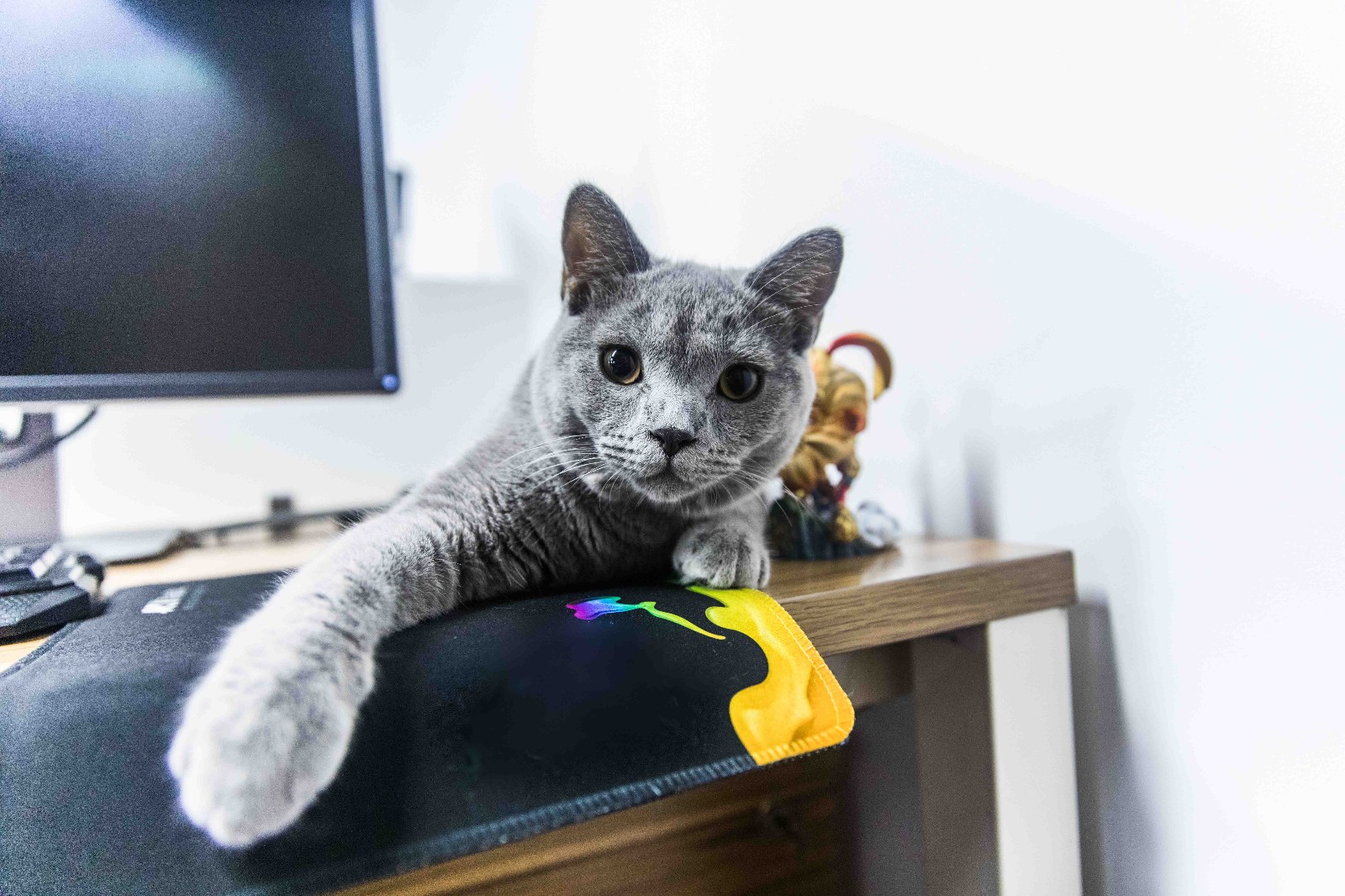 一番赏极点悟空手办开箱测评,悟空总决赛手办开箱