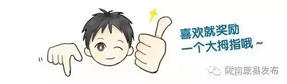 「相约康县」山水间歌声回荡,烟波里久违的故乡