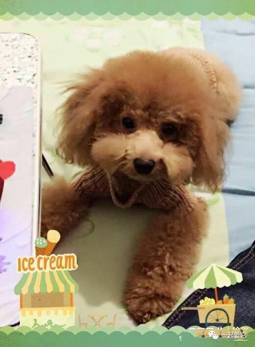 宠爱故事完整版,宠爱背景故事