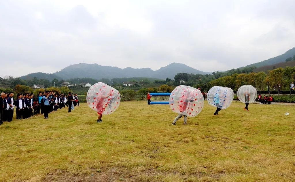 微拍拍｜乡趣“绿之恋”掠影二：草地悠波球欢乐碰碰碰