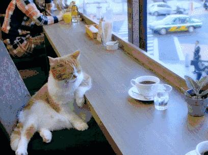 咖啡店店长工作内容有哪些,一个咖啡店店长自述