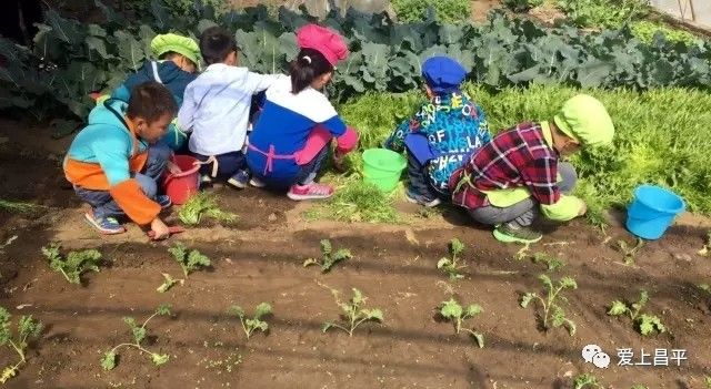 北京昌平十三陵民宿推荐,昌平民宿独立小院20人