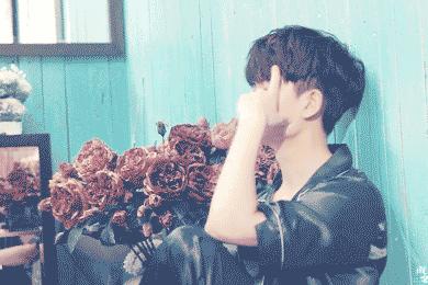 英语厕所的几种说法,厕所英语有几种说法