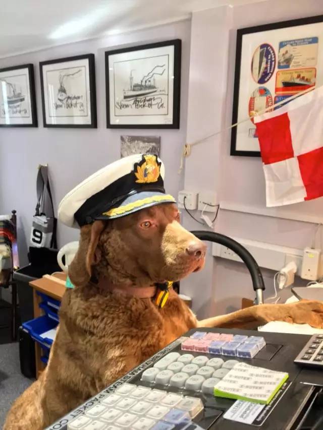 咖啡店店长工作内容有哪些,一个咖啡店店长自述