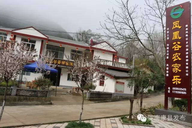 「相约康县」山水间歌声回荡,烟波里久违的故乡