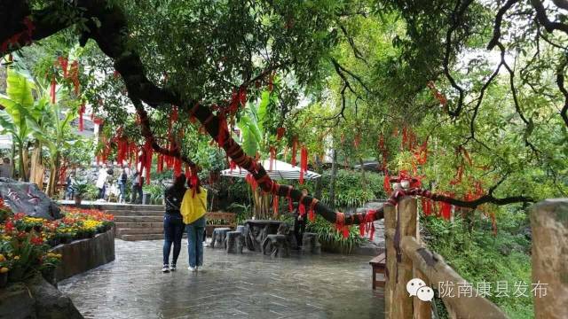 「相约康县」山水间歌声回荡,烟波里久违的故乡