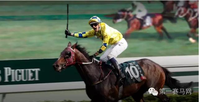 香港冠军马王,香港马拉松冠军颁奖仪式