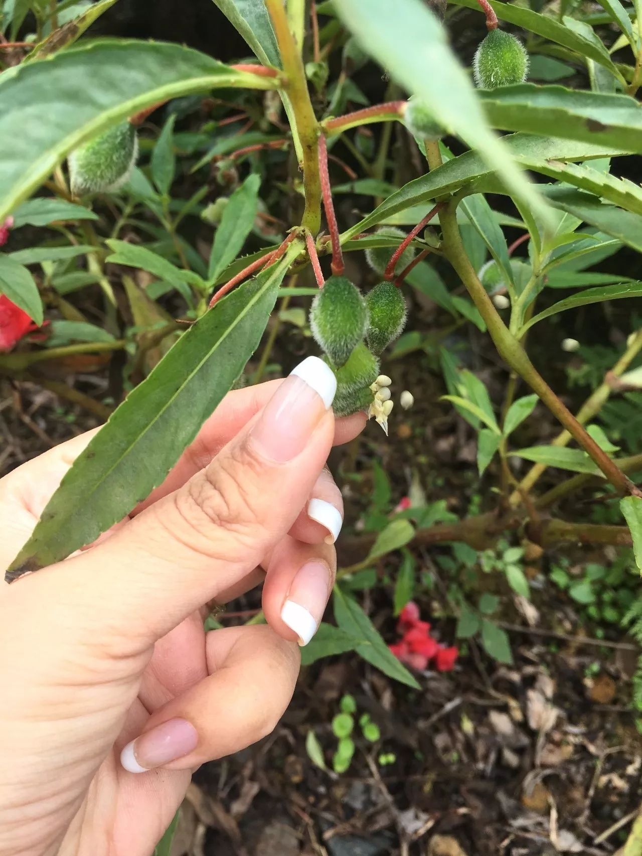 去裸心谷kikaboni吃私宴，听南非主厨BarendGreyling说家的故事