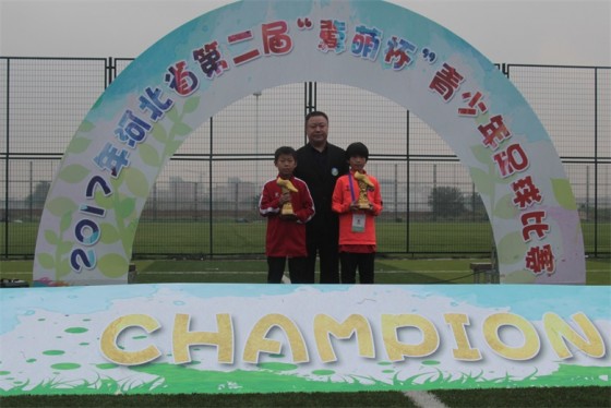 冀萌杯比赛,河北省冀萌杯