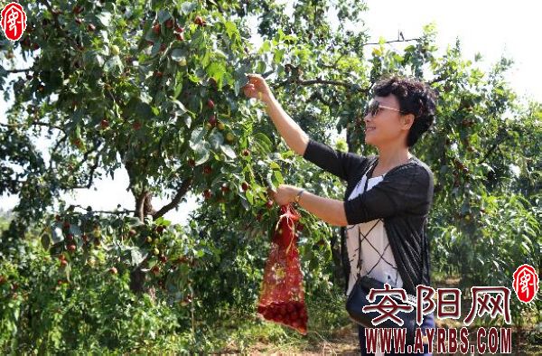 国庆中秋喜相逢双庆佳节,国庆中秋喜相逢女声完整版