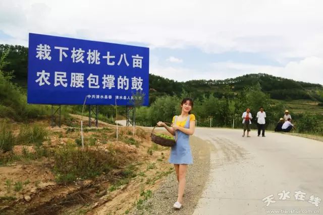 天水市委常委、副市长李晓东：我家门前清水流，漫山遍野鲜核桃！