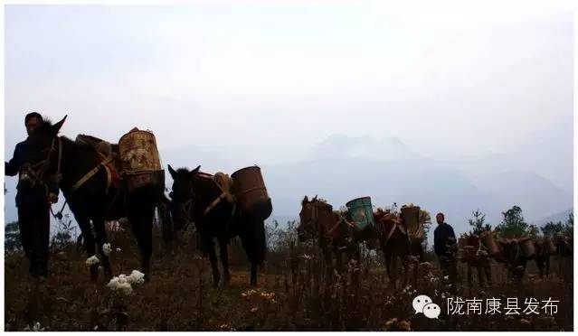 「相约康县」山水间歌声回荡,烟波里久违的故乡