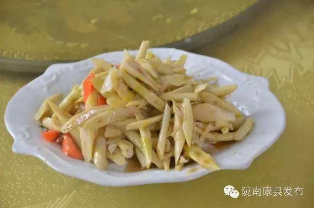 「相约康县」山水间歌声回荡,烟波里久违的故乡