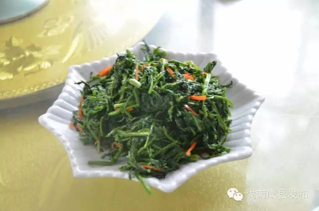 「相约康县」山水间歌声回荡,烟波里久违的故乡