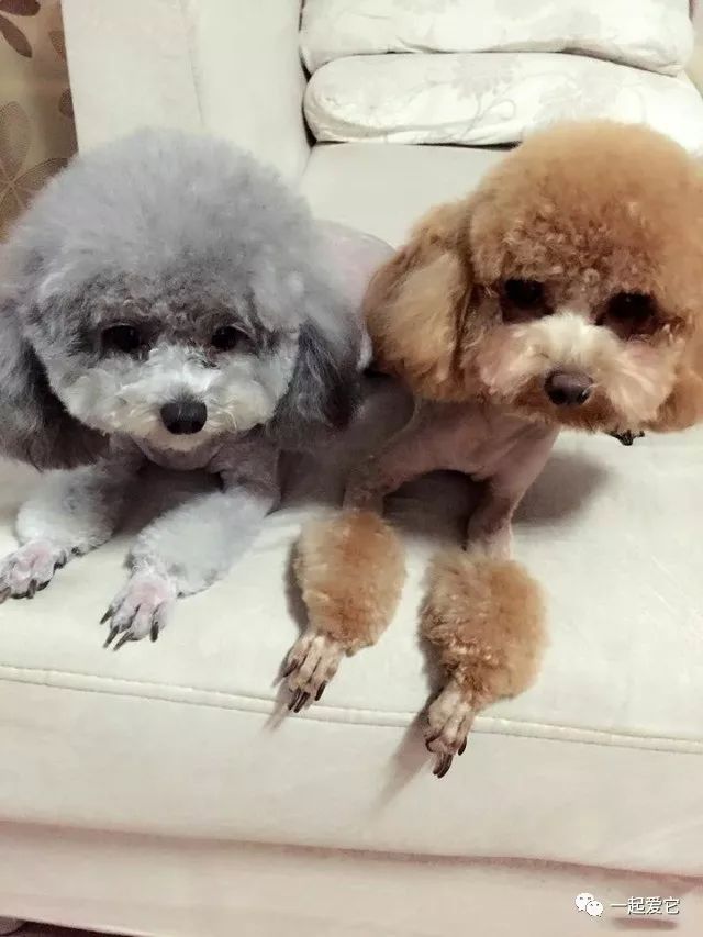 宠爱故事完整版,宠爱背景故事