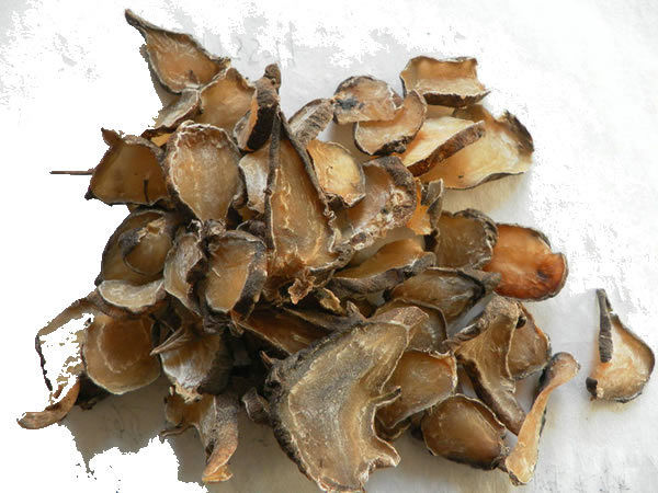 至阴之地是什么,至阴之地