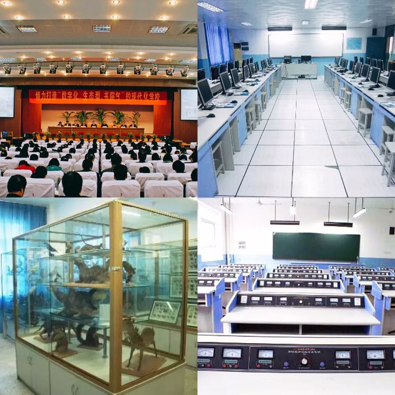 祝自己三十九生日快乐的诗句,三十九中全名