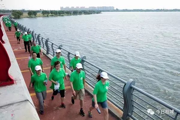 「砥砺奋进的五年·漕湖街道」十里漕湖，变化万千